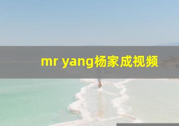 mr yang杨家成视频